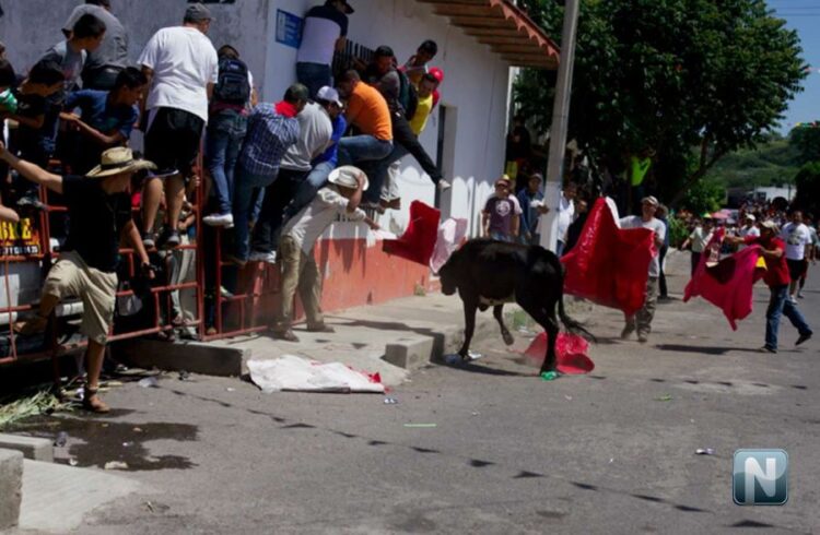 Seis vaquillas de casta en “ahuacatlanada 2023” este viernes en Ahuacatlán