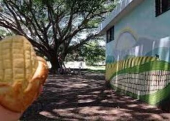 Tercer Festival del Maíz de Húmedo en Coapan este viernes 29 de septiembre