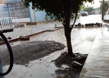 Vecinos calle Demetrio Vallejo en la Colonia Morelos de Ixtlán piden reanudación de empedrado