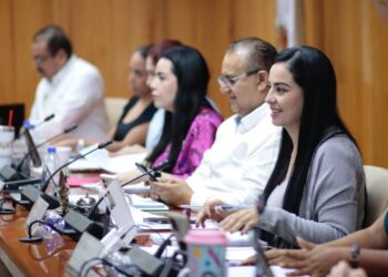 Grupos vulnerables ya no serían relegados en procesos electorales