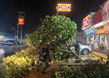 Zona sur enfrenta las secuelas de huracán “Lidia”