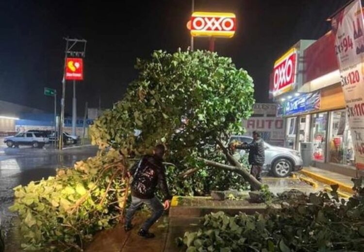 Zona sur enfrenta las secuelas de huracán “Lidia”