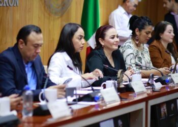 Elegirá Congreso presidenta o presidente de la Comisión de Defensa de Derechos Humanos