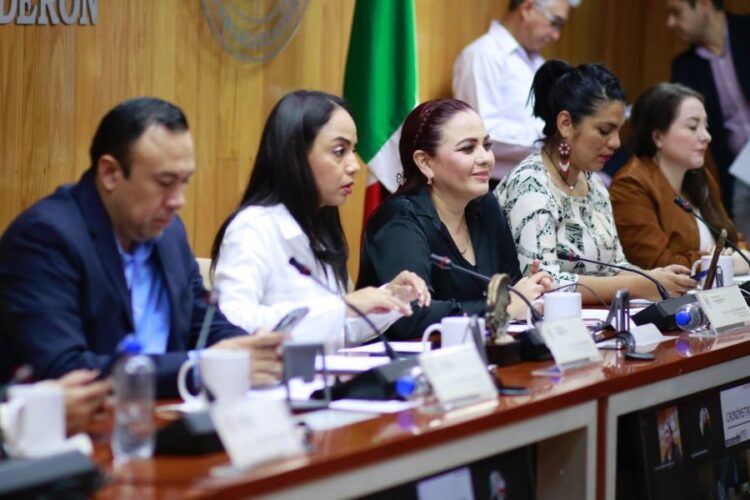 Elegirá Congreso presidenta o presidente de la Comisión de Defensa de Derechos Humanos