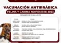 En marcha campaña de vacunación canina y felina en Ahuacatlán