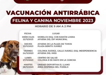 En marcha campaña de vacunación canina y felina en Ahuacatlán