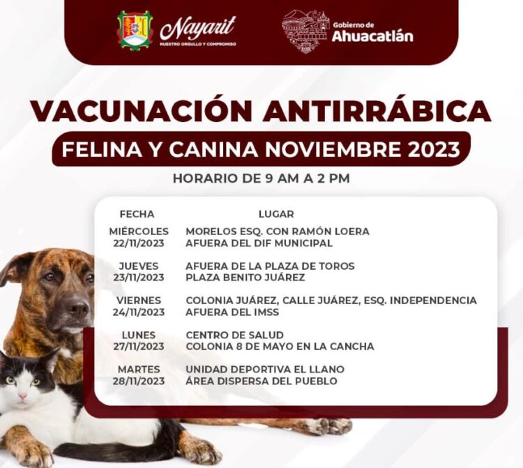 En marcha campaña de vacunación canina y felina en Ahuacatlán