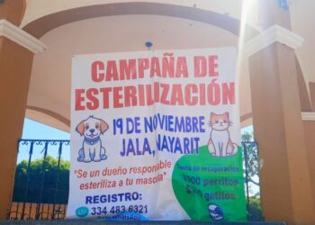 Gobierno de Jala invita a esterilizar mascotas