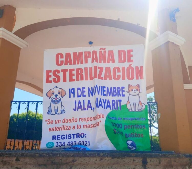 Gobierno de Jala invita a esterilizar mascotas