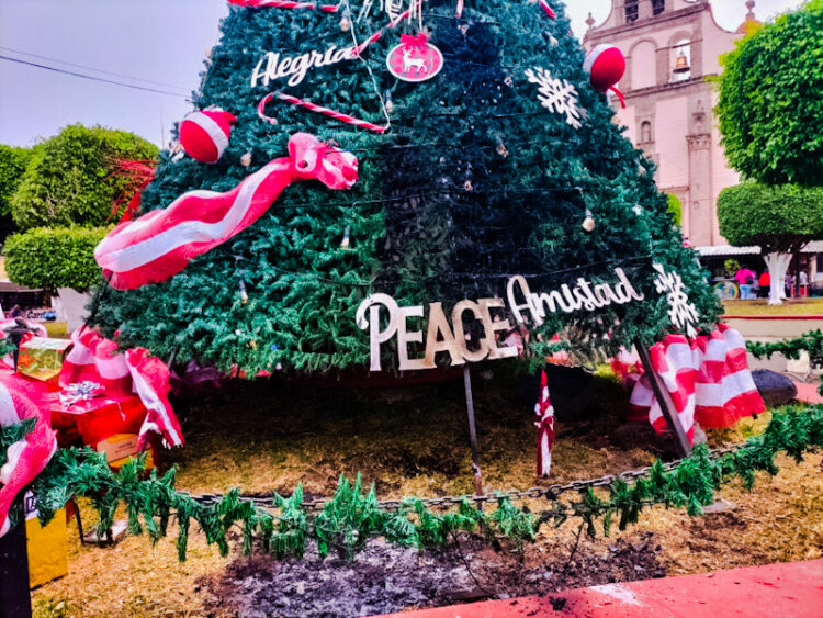Intentaron quemar el Árbol de Navidad en Ahuacatlán