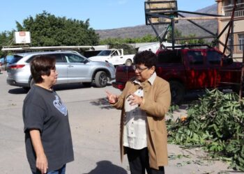 Exitosa Jornada de Servicios en Heriberto Jara gracias a la «Brigada Ahuacatlán»