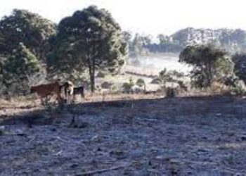 Familias de La Meseta de Jala piden apoyo ante el frio intenso