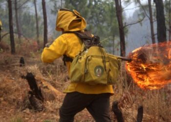 Recomendaciones del gobierno estatal para prevenir incendios en temporada de estiaje