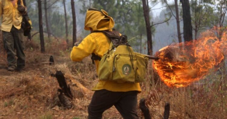 Recomendaciones del gobierno estatal para prevenir incendios en temporada de estiaje