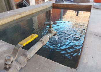 Presentan en Ahuacatlán el libro «100 poemas de amor» de Marco Antulio Arellano