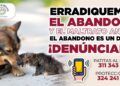 Autoridades de Ahuacatlán invitan a prevenir el maltrato y abandono animal