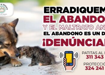 Autoridades de Ahuacatlán invitan a prevenir el maltrato y abandono animal