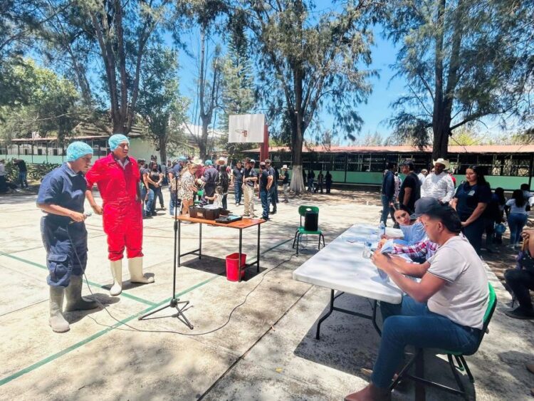 Regidora Cristy Parra solicita su reincorporación al Cabildo de Ixtlán