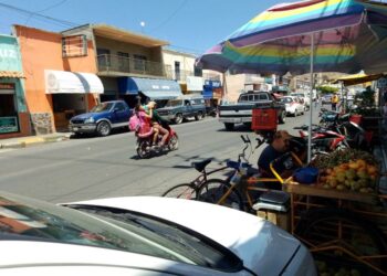 Inicia la temporada de frutas en Ixtlán con promesas de buena producción