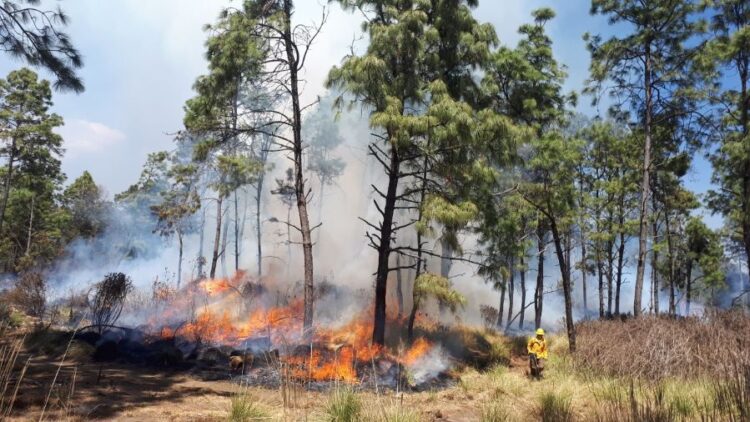 Menor incidencia de incendios forestales en Jala