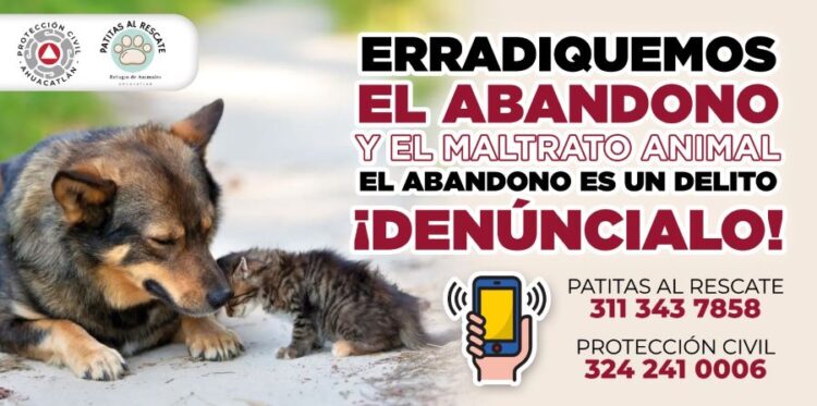 Manolo Andalón logra posicionarse en el gusto de los habitantes de Ahuacatlán