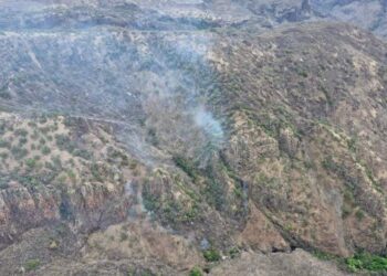 Concluyen con éxito operaciones de control del Incendio Forestal Pedernales en el Estado