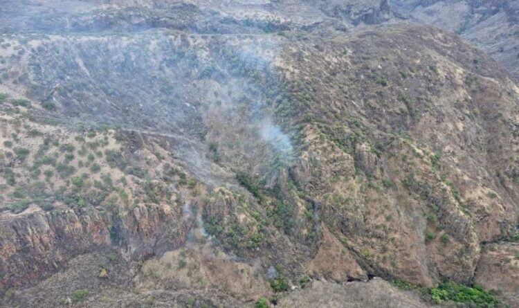 Concluyen con éxito operaciones de control del Incendio Forestal Pedernales en el Estado