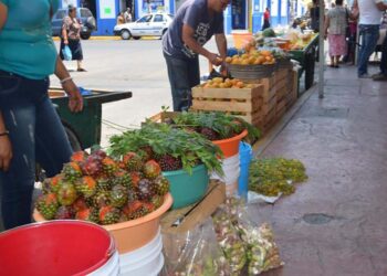 Exitosa temporada de pitayas y guamúchiles en la zona sur