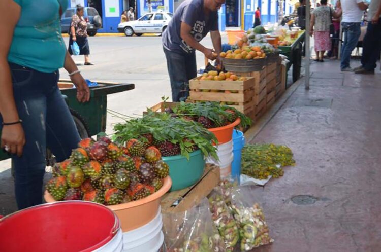 Exitosa temporada de pitayas y guamúchiles en la zona sur