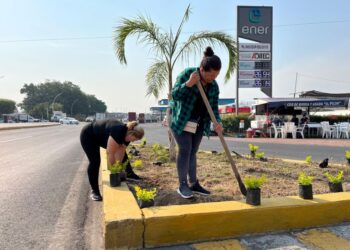 Ahuacatlán se prepara para el temporal de lluvias con una iniciativa verde