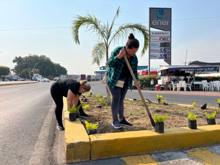 Ahuacatlán se prepara para el temporal de lluvias con una iniciativa verde