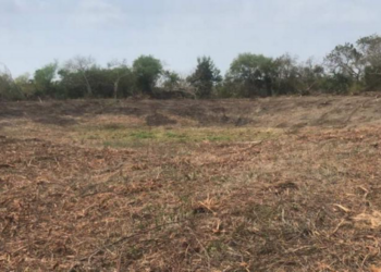 Campesinos de Jala piden que “¡ya llueva!”