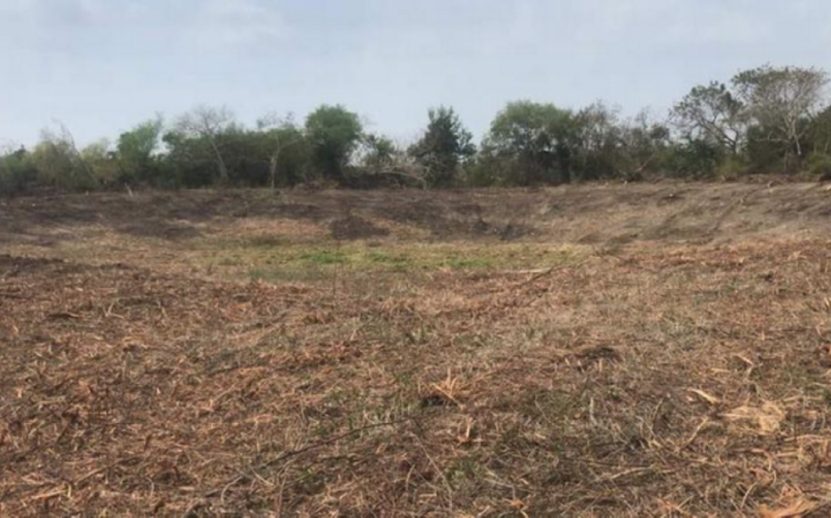 Campesinos de Jala piden que “¡ya llueva!”