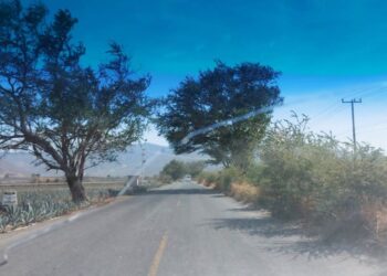 Carretera a Jala en Riesgo por infinidad de baches y lluvias