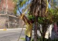 Gobierno de Ahuacatlán refuerza compromiso con el medio ambiente