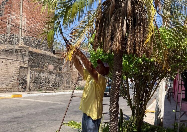 Gobierno de Ahuacatlán refuerza compromiso con el medio ambiente