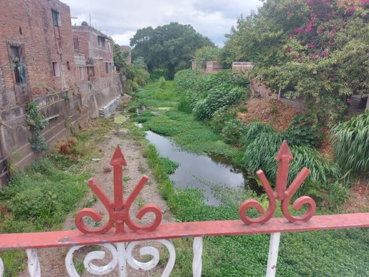 Riesgo de inundaciones en Ahuacatlán: El rio está azolvado