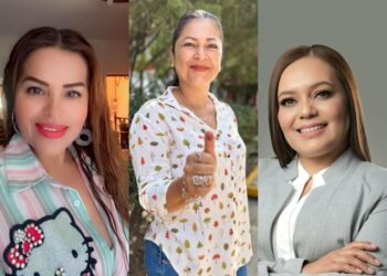 Síndicos electos en el sur, alianzas que prometen cambios