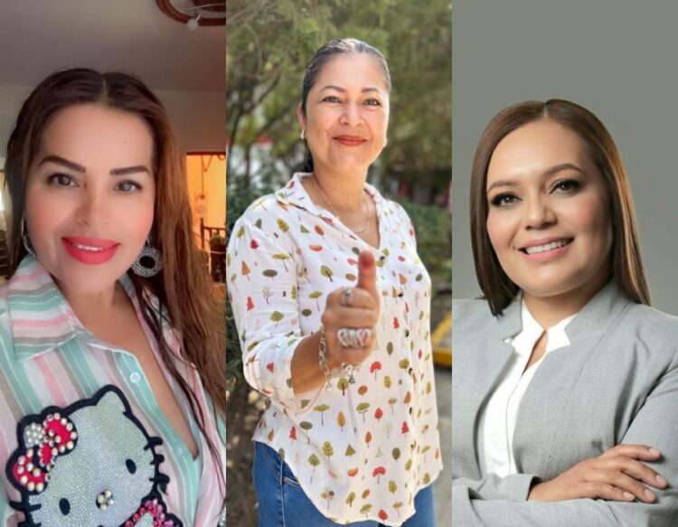 Síndicos electos en el sur, alianzas que prometen cambios