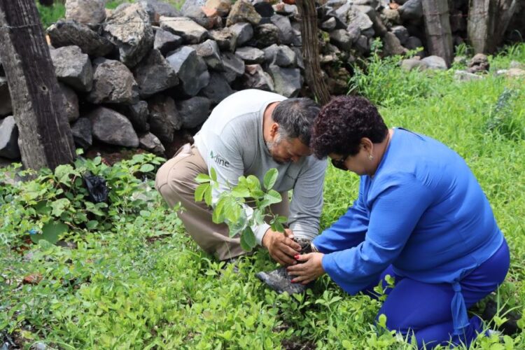 Jornada de reforestación en Ahuacatlán tras Mesa de Coordinación para la Paz