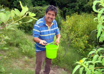 Una joya olvidada por muchos