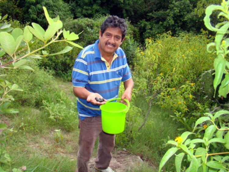 Una joya olvidada por muchos