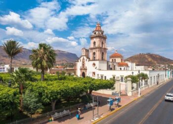 Plaza de los “pájaros caídos”: Refugio de tranquilidad y sabiduría en Ixtlán