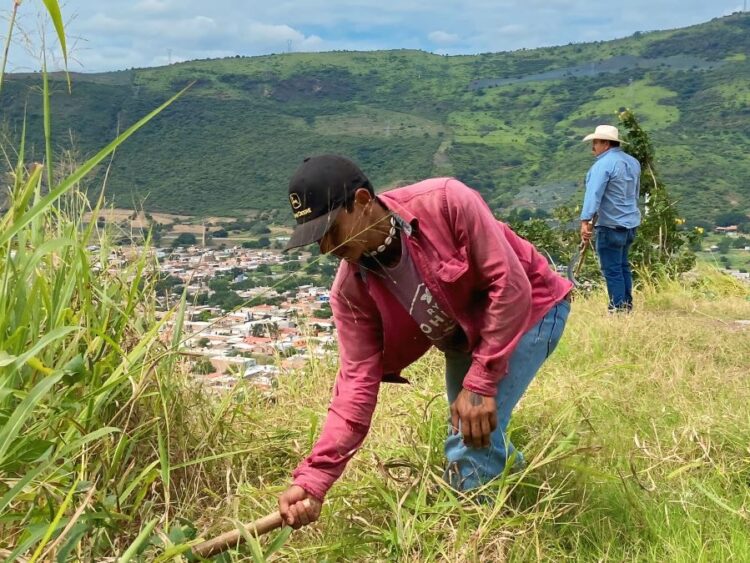 Ixtlán se prepara para las festividades de Cristo Rey y Día de Muertos