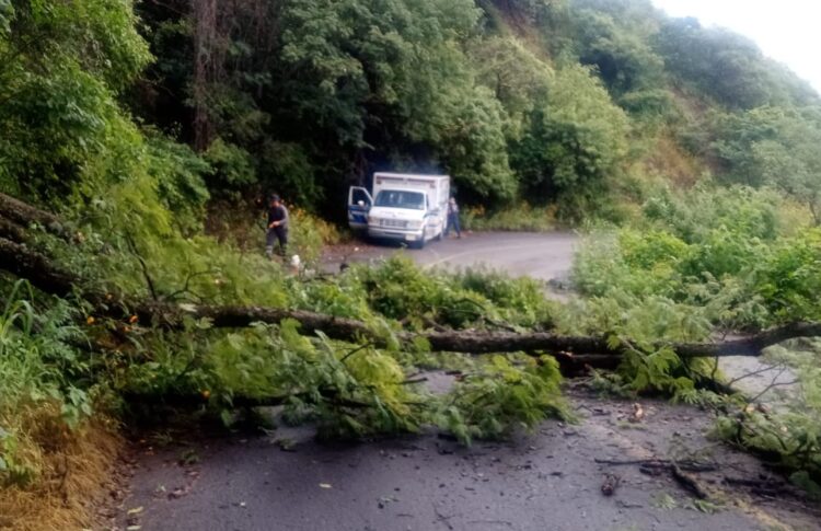 Limpian el río Ahuacatlán en puntos críticos para evitar riesgos