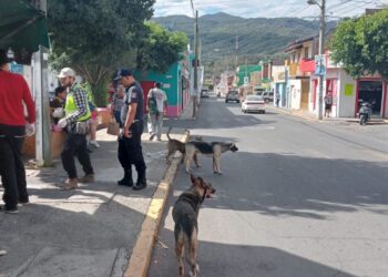Ahuacatlán realiza Audiencia sobre Ordenamiento Territorial y Desarrollo Urbano