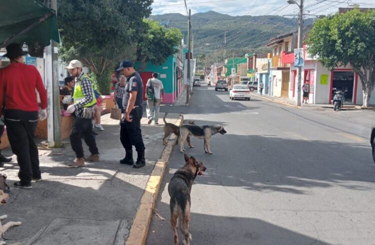 Ahuacatlán realiza Audiencia sobre Ordenamiento Territorial y Desarrollo Urbano