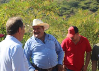Avanza a buen ritmo la obra del drenaje pluvial en calle Aldama de Ahuacatlán
