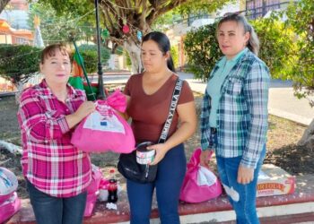 DIF Ahuacatlán entrega apoyos a familias de Santa Isabel y Valle Verde