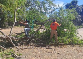 Ahuacatlán fortalece la seguridad y la imagen urbana